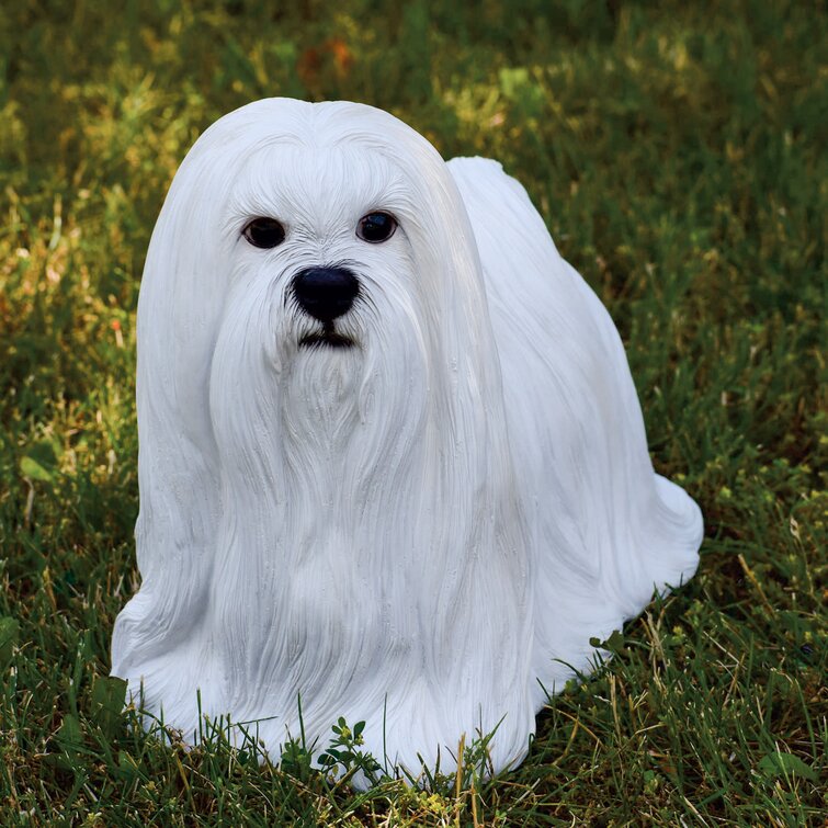 maltese statue dog